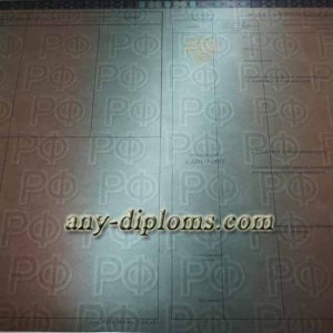 Диплом специалиста 2014-2017 год (Москва)