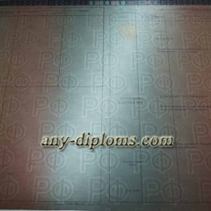 Диплом бакалавра 2014-2017 год