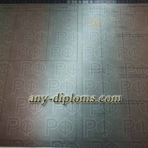 Диплом магистра 2014-2017 год (Москва)