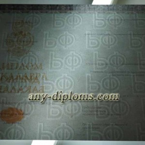 Диплом бакалавра 2014-2017 год (Киржач)