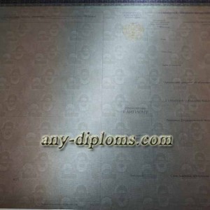 Диплом бакалавра 2014-2017 год (Киржач)