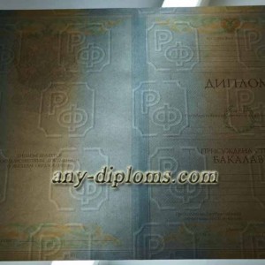 Диплом бакалавра 2004-2010 год