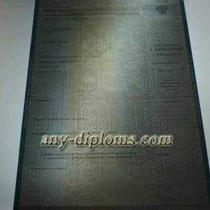 Диплом бакалавра 2004-2010 год