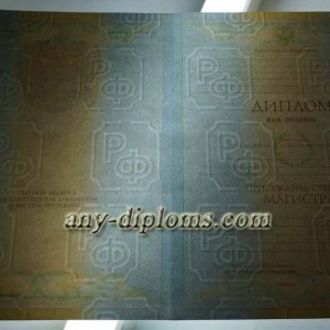 Диплом магистра 2004-2010 год