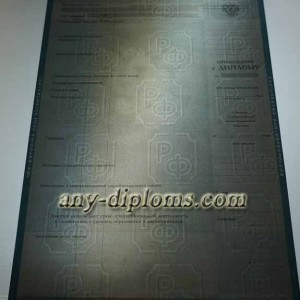 Диплом магистра 2004-2010 год