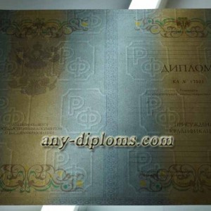 Диплом специалиста 2011-2013 год