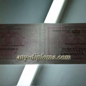 Диплом кандидата наук 2010 год