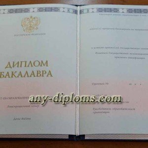 Диплом бакалавра 2014-2017 год