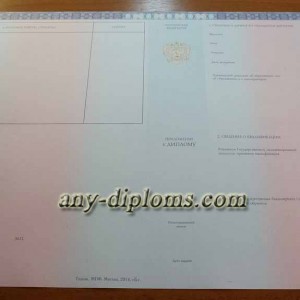 Диплом специалиста 2014-2017 год (Москва)