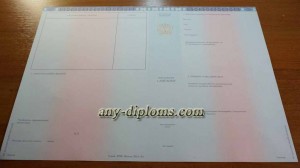 Приложение к диплому - фото