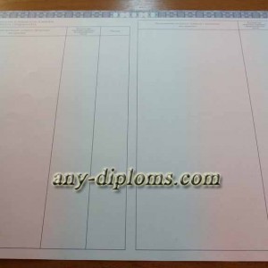 Диплом бакалавра 2014-2017 год