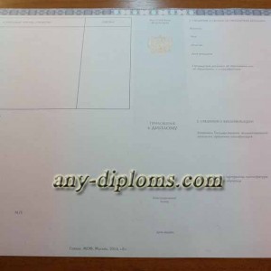 Диплом магистра 2014-2017 год (Москва)