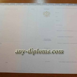 Диплом специалиста 2014-2017 год (Киржач)