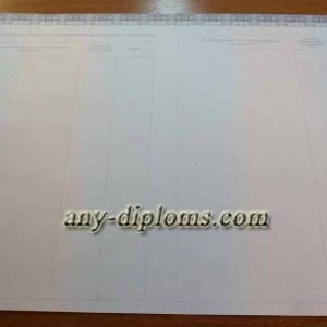 Диплом специалиста 2014-2017 год