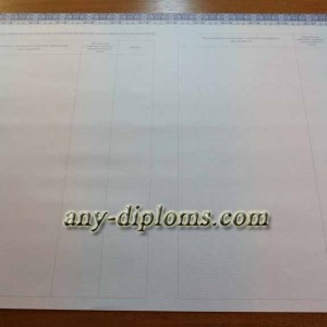 Диплом бакалавра 2014-2017 год (Киржач)