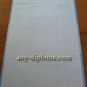 Диплом бакалавра 1997-2003 год