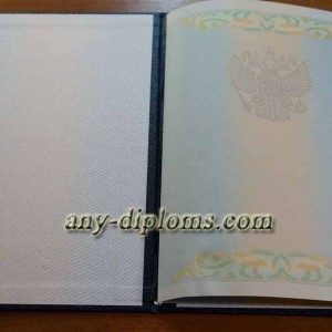 Диплом бакалавра 2004-2010 год