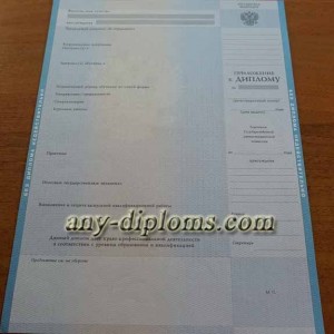 Диплом бакалавра 2004-2010 год