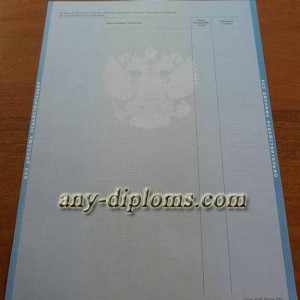 Диплом бакалавра 2004-2010 год