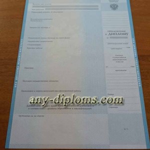 Диплом магистра 2004-2010 год