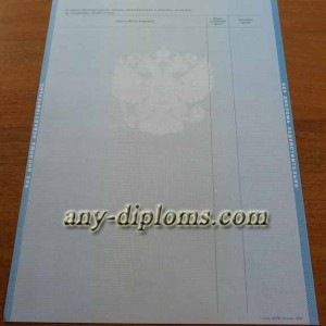 Диплом магистра 2004-2010 год