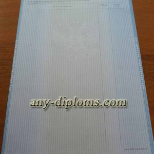 Диплом специалиста 2011-2013 год