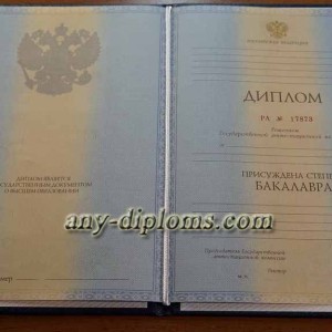 Диплом бакалавра 2011-2013 год