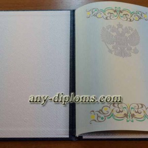 Диплом бакалавра 2011-2013 год