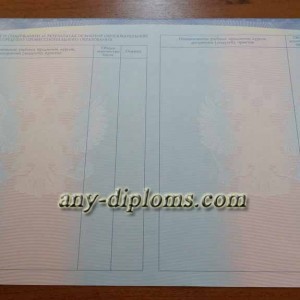 Диплом среднее профессиональное образование 2014-2017 год