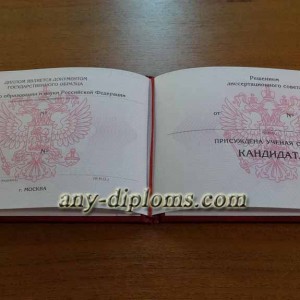 Диплом кандидата наук 2010 год