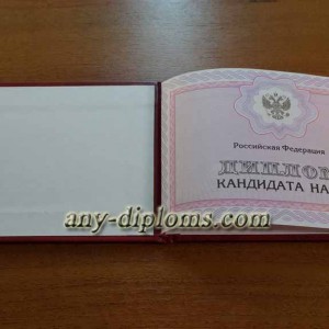 Диплом кандидата наук 2010 год