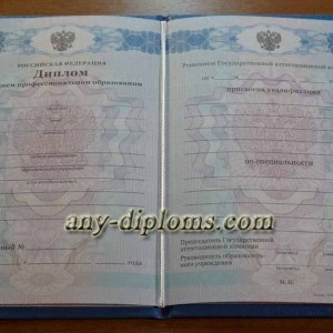 Диплом среднее профессиональное образование 2011-2013 год