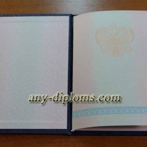 Диплом среднее профессиональное образование 2002 год