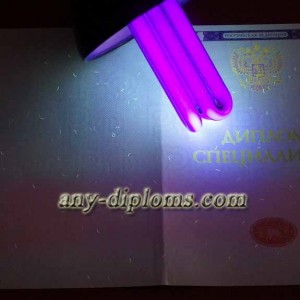 Диплом специалиста 2014-2017 год (Москва)