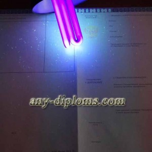 Диплом специалиста 2014-2017 год (Москва)