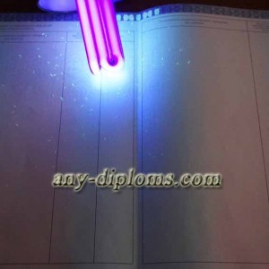 Диплом специалиста 2014-2017 год (Москва)