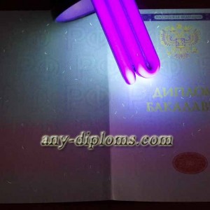 Диплом бакалавра 2014-2017 год