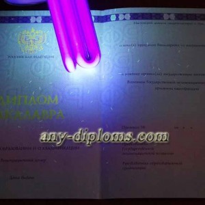 Диплом бакалавра 2014-2017 год