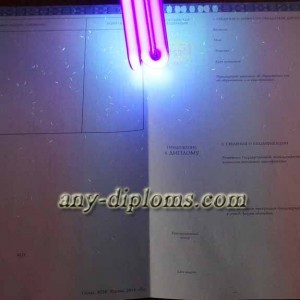 Диплом бакалавра 2014-2017 год