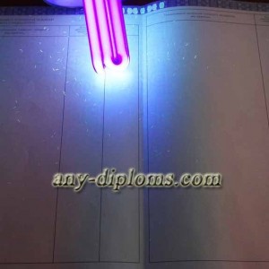 Диплом бакалавра 2014-2017 год (Москва)