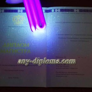 Диплом магистра 2014-2017 год (Москва)