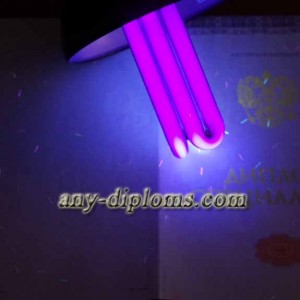 Диплом специалиста 2014-2017 год (Киржач)