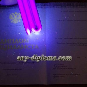 Диплом специалиста 2014-2017 год