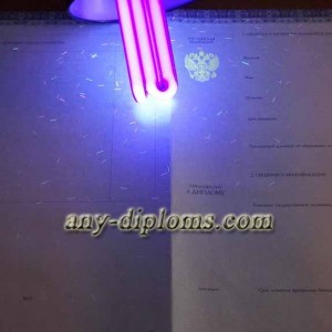 Диплом специалиста 2014-2017 год