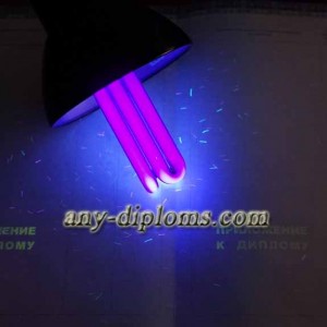 Диплом специалиста 2014-2017 год