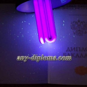 Диплом бакалавра 2014-2017 год (Киржач)