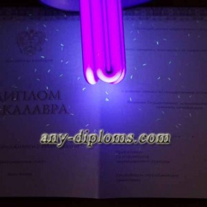 Диплом бакалавра 2014-2017 год (Киржач)