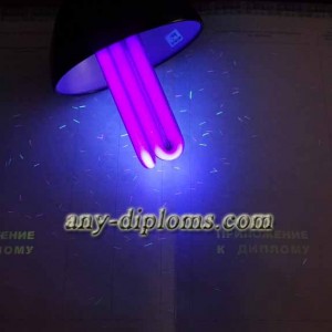 Диплом бакалавра 2014-2017 год (Киржач)