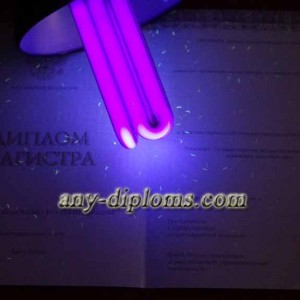 Диплом магистра 2014-2017 год (Киржач)