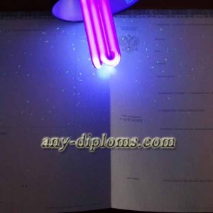 Диплом магистра 2014-2017 год (Киржач)